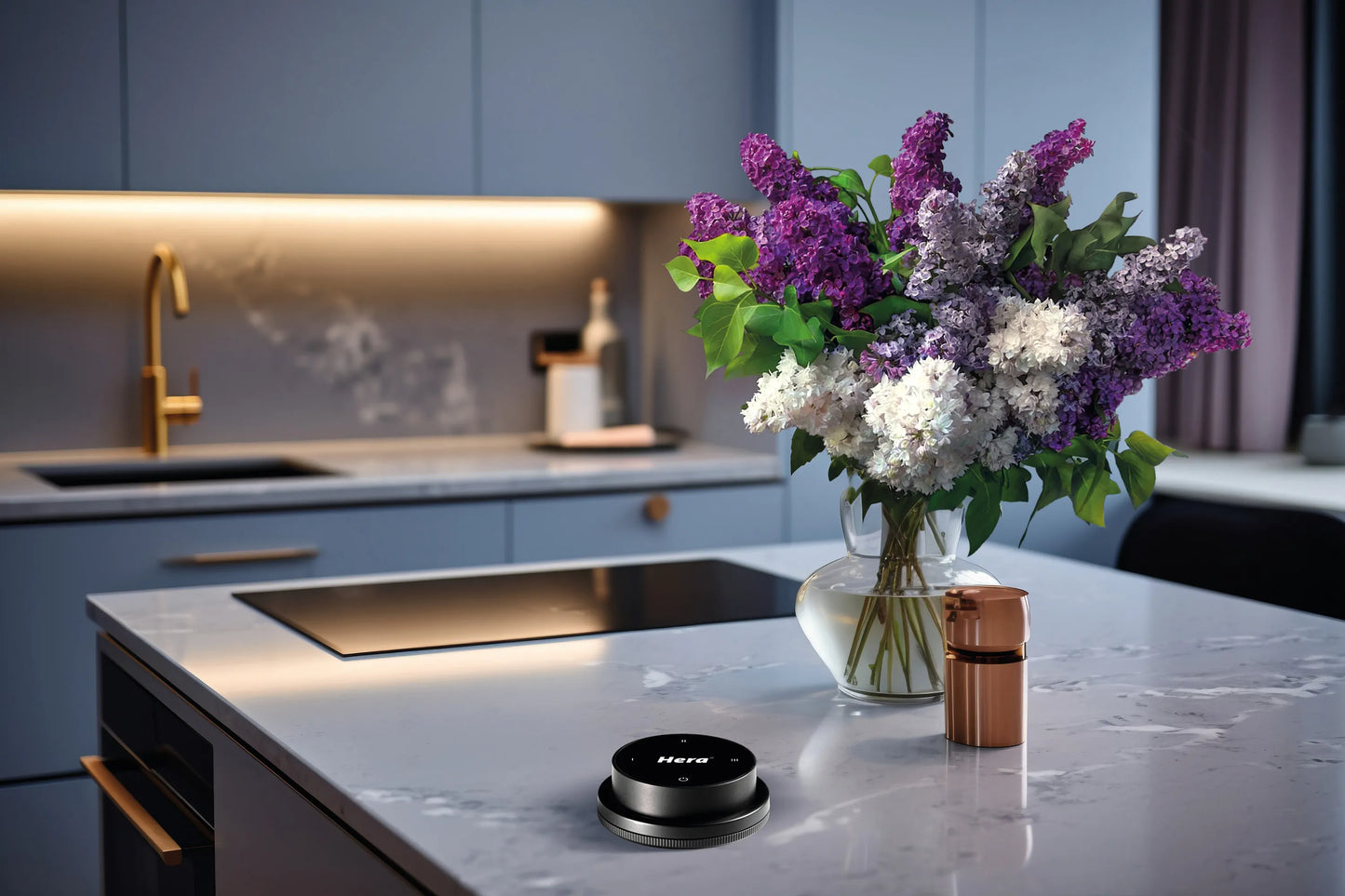 Afstandsbediening H-iDrive 3-kanaals