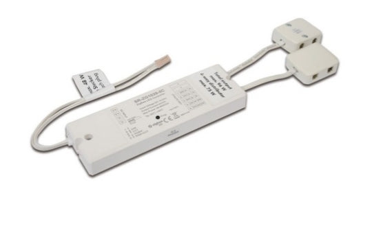 Dynamic ontvanger 96W Zigbee/Alexa/Hue 2x12-weg